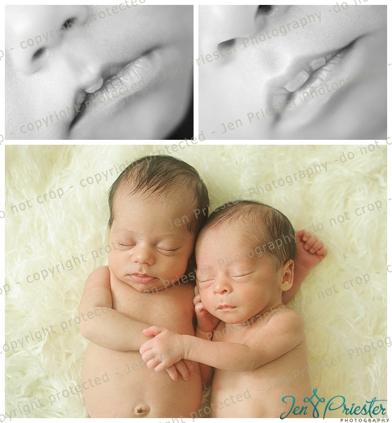 Ann Arbor Michigan Twin Newborn Photographer