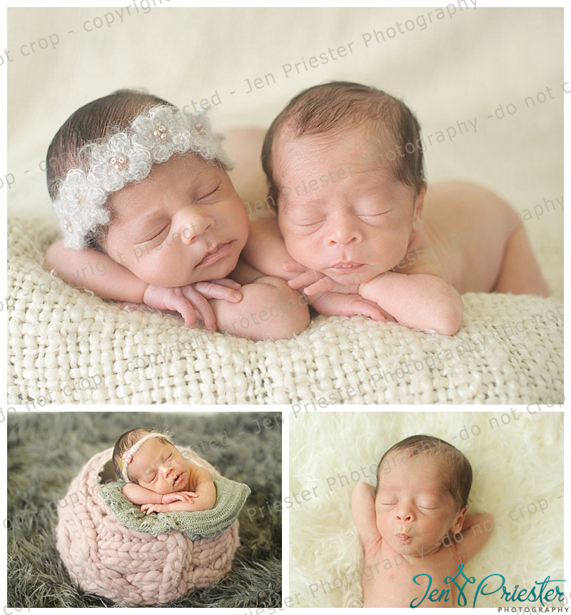 Ann Arbor Mi Twin Newborn Photographer