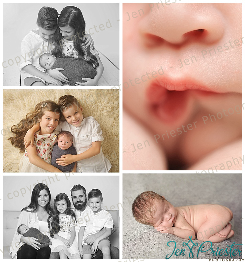 Grand Blanc Mi Newborn Photographer