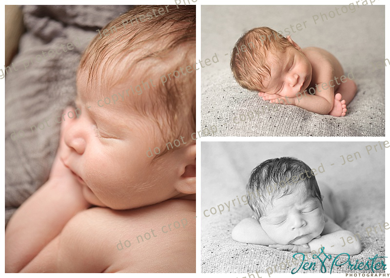 Grand Blanc Michigan Newborn Photography