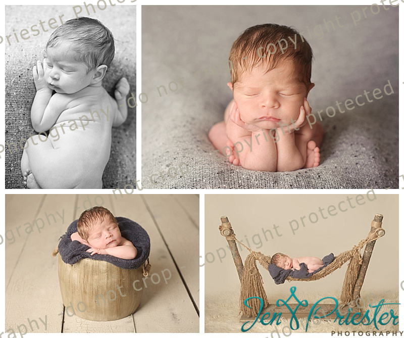 Grand Blanc Michigan Newborn Photographer