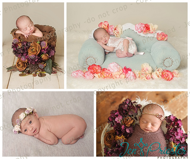 Sterling Heights Michigan Photos