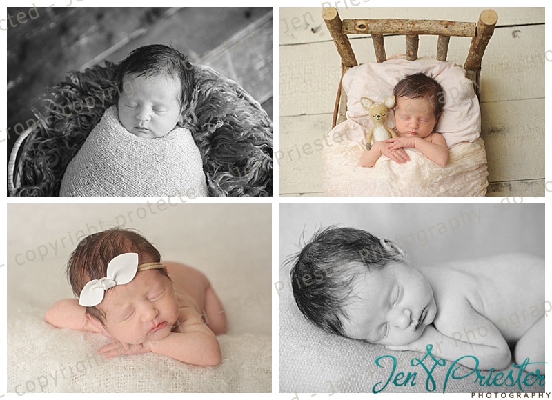 Metro Detroit Newborn Photographer