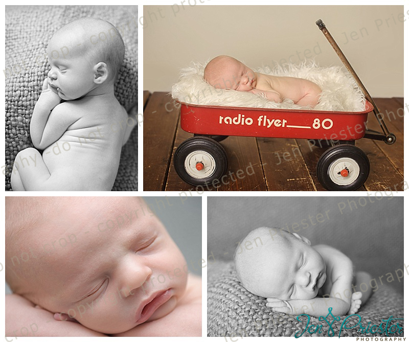 Detroit Newborn Photography