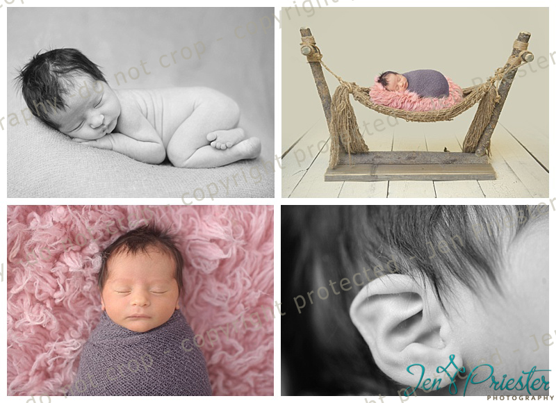 Birmingham Mi Newborn Photographer