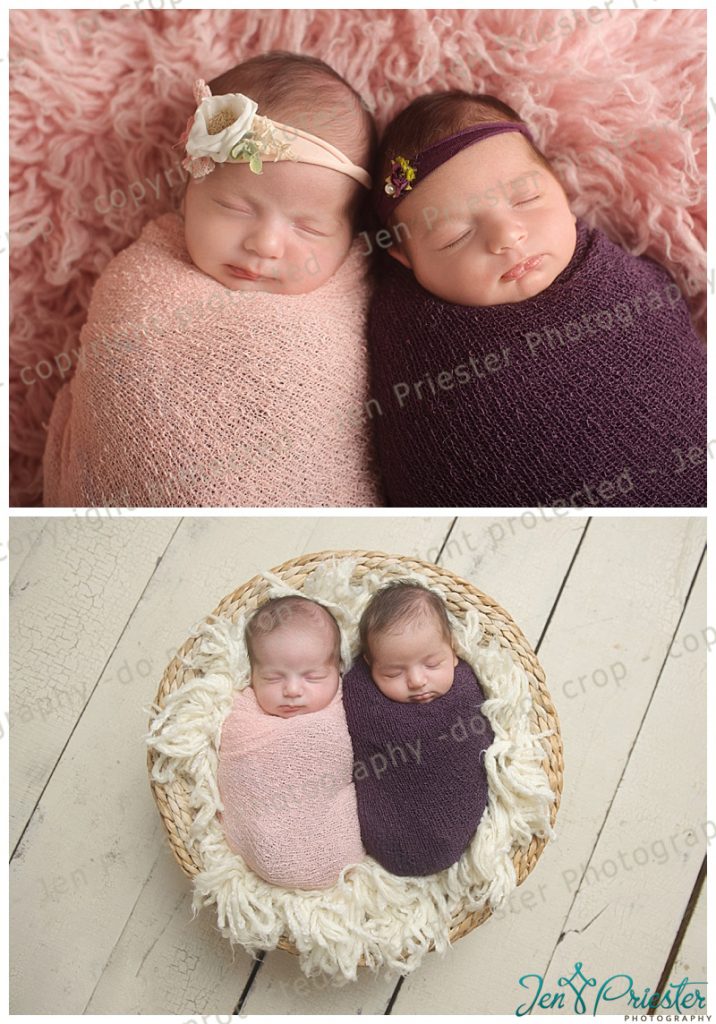 Rochester Hills Michigan Twin Photographer