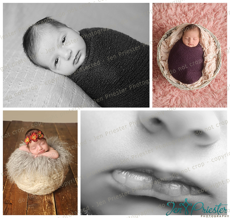 Rochester Hills Michigan Twin Photographer