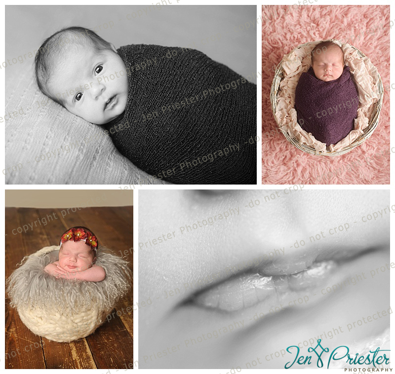 Rochester Hills Michigan Twin Photographer