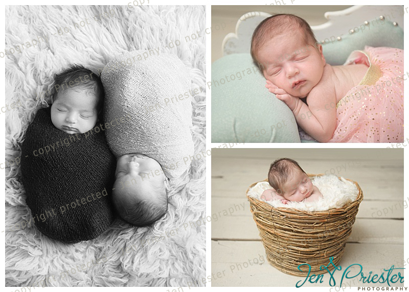 Rochester Hills Michigan Twin Photographer