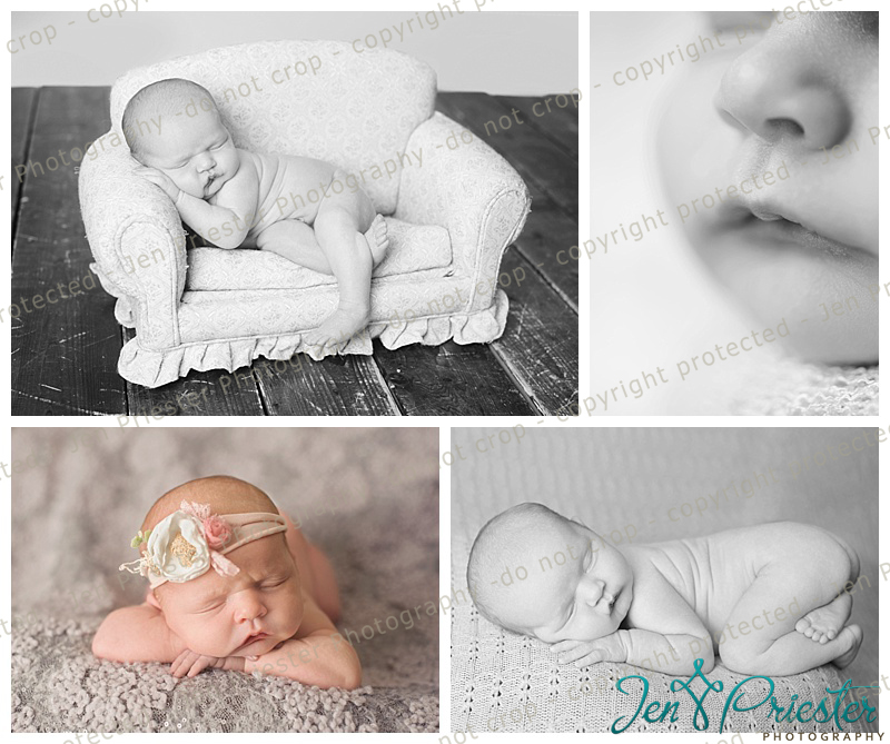 Michigan Newborn Photographer