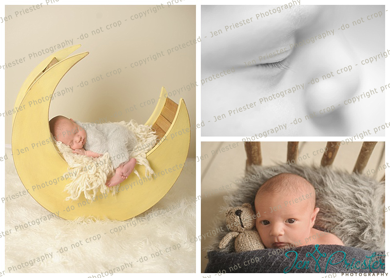 Canton Michigan Newborn Photographer