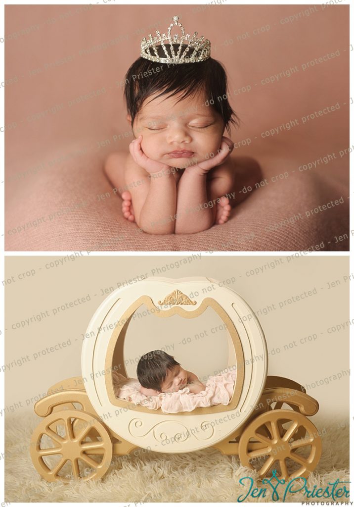 Birmingham Michigan Newborn Photoshoot