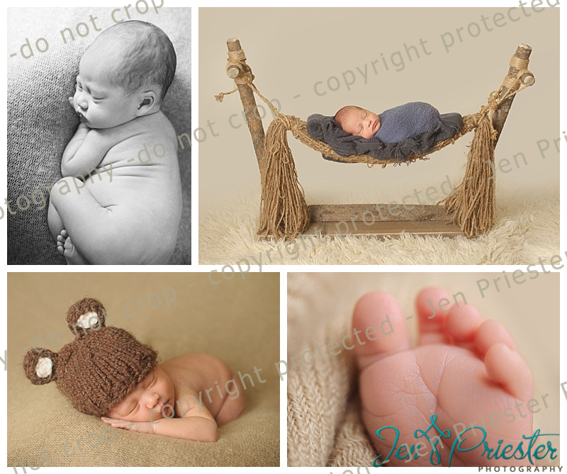 West Bloomfield Newborn Photos