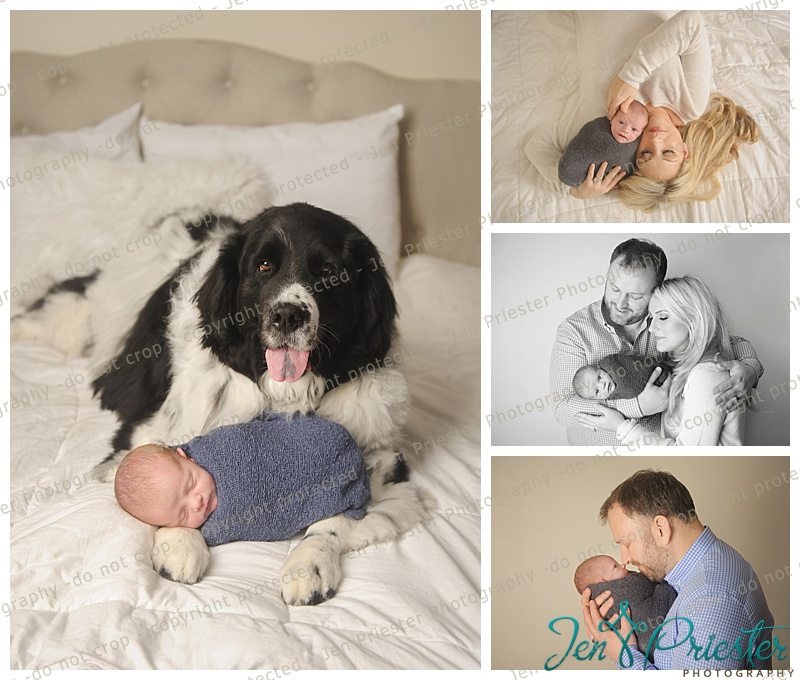 Royal Oak Newborn Photography