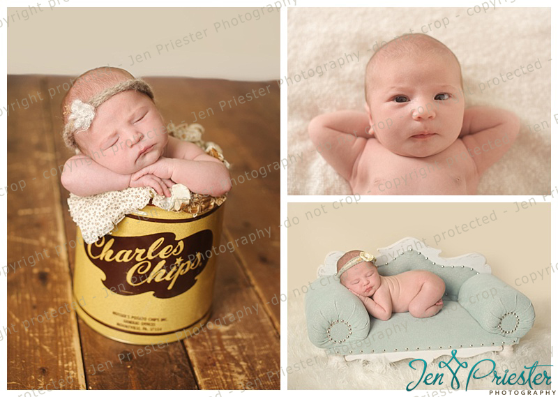 Novi Newborn Photographer