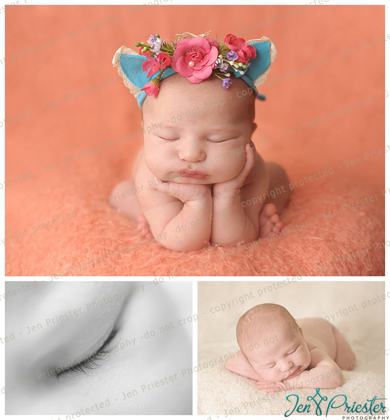 Novi Michigan Newborn Photographer