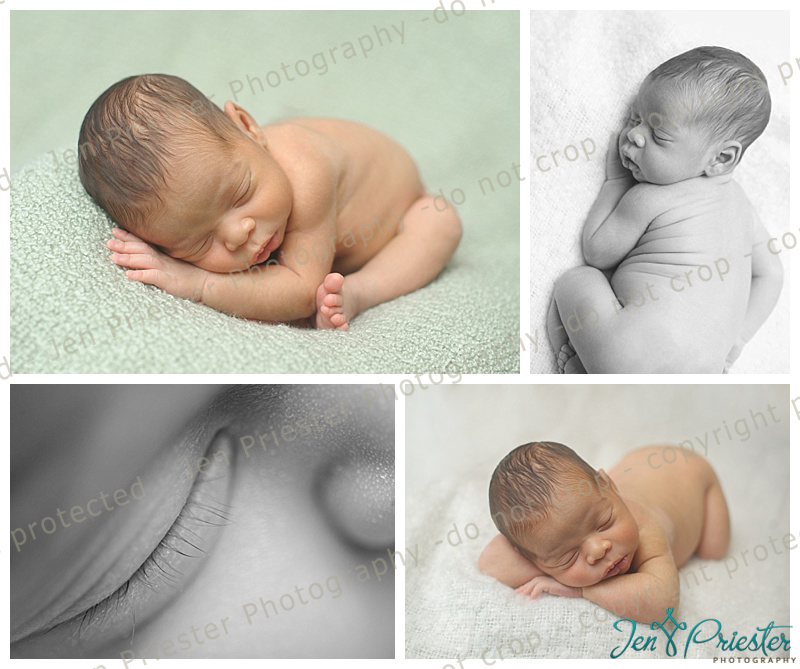 Warren Mi Newborn Photographer