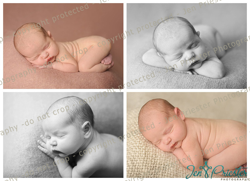 Farmington Hills Newborn Photography