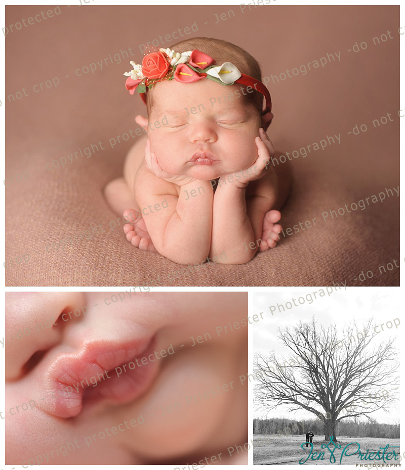 Farmington Hills Newborn Photos