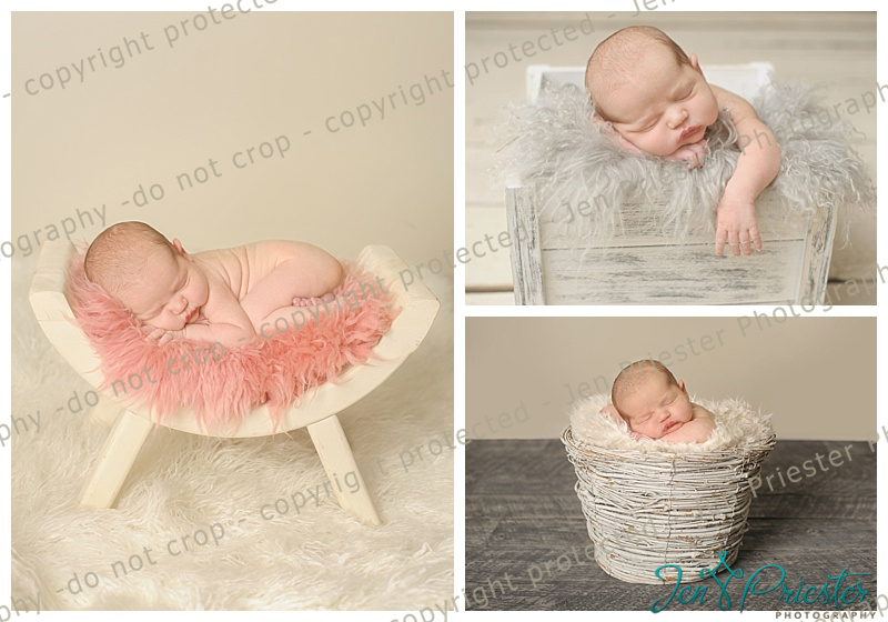 Farmington Hills Newborn Photographer