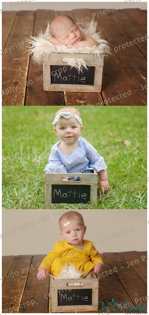 Washington MI Family Photographer