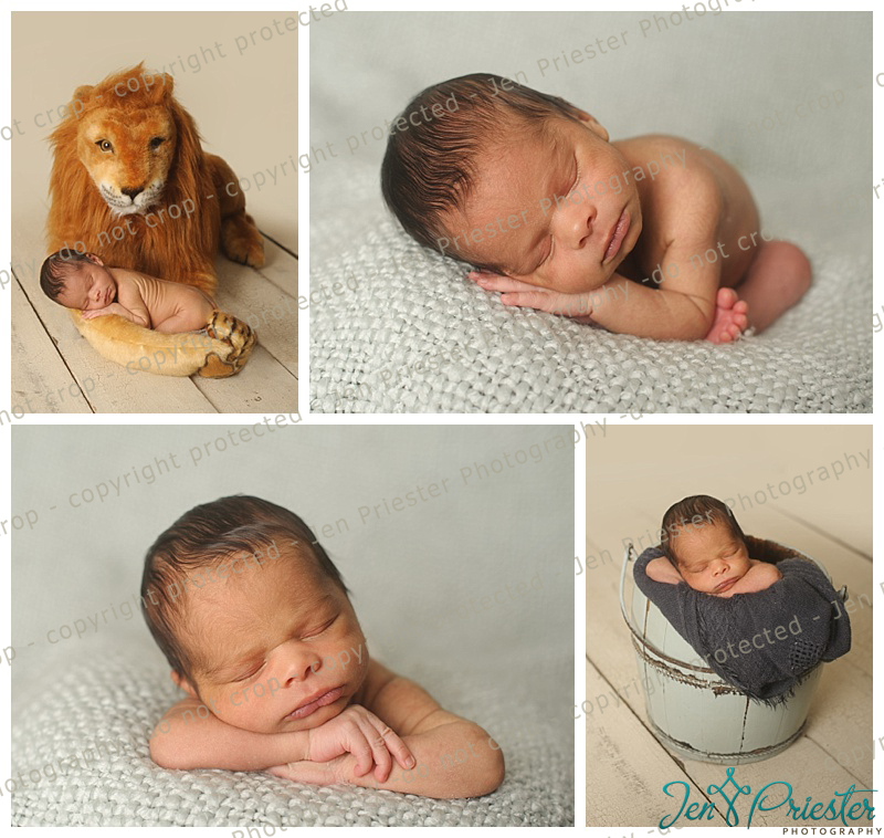 Highland MI Newborn Photographer