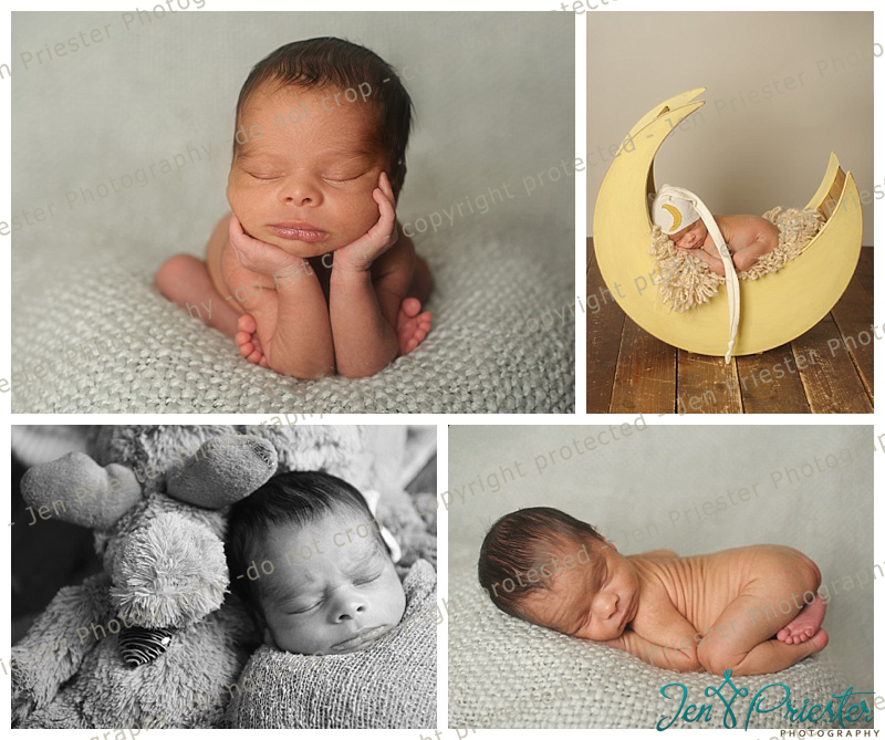 Highland Michigan Newborn Photography