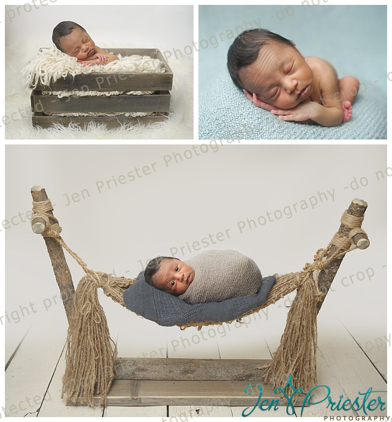 Bloomfield Mi Newborn Photographer
