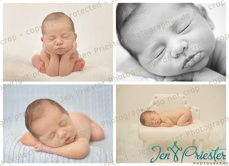 Birmingham Mi Newborn Photos