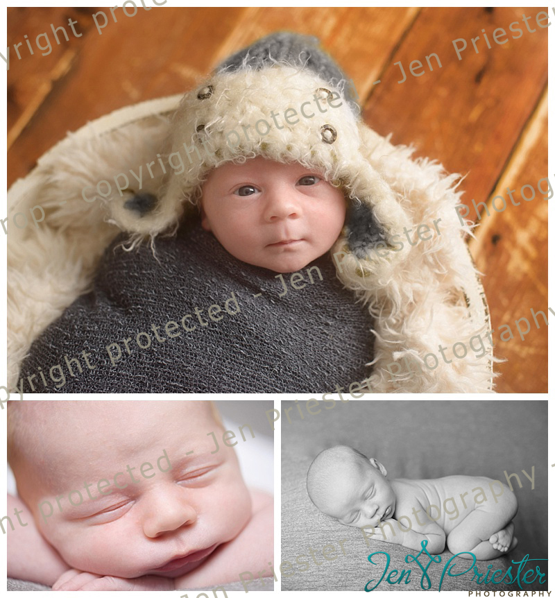 Rochester Hills Newborn Photos Alert Awake Baby