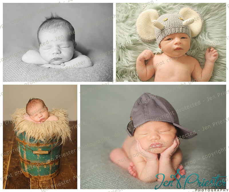 Macomb Michigan Newborn Photography Elephant Bucket