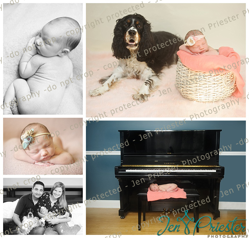 Farmington Hills Newborn Photos Piano Dog Family