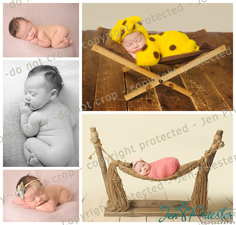 Ann Arbor Newborn Photos