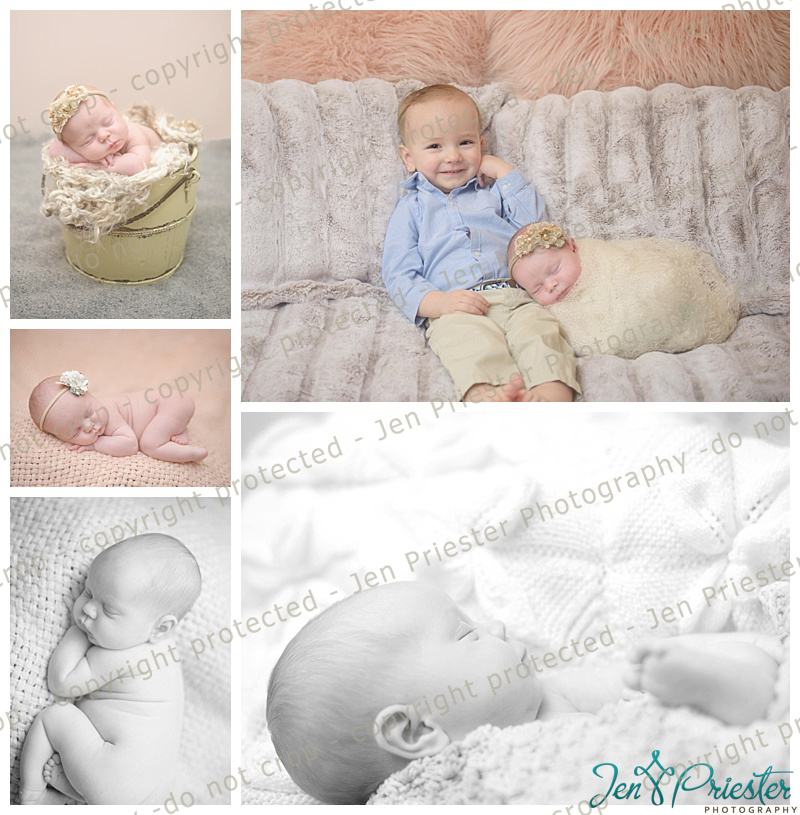 Michigan Newborn Pictures