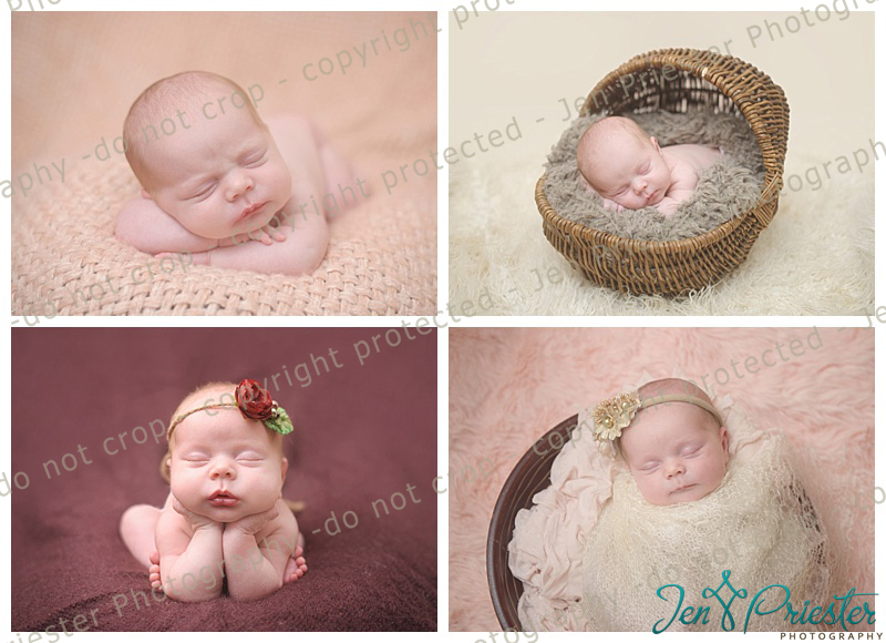 Birmingham Michigan Newborn Pictures