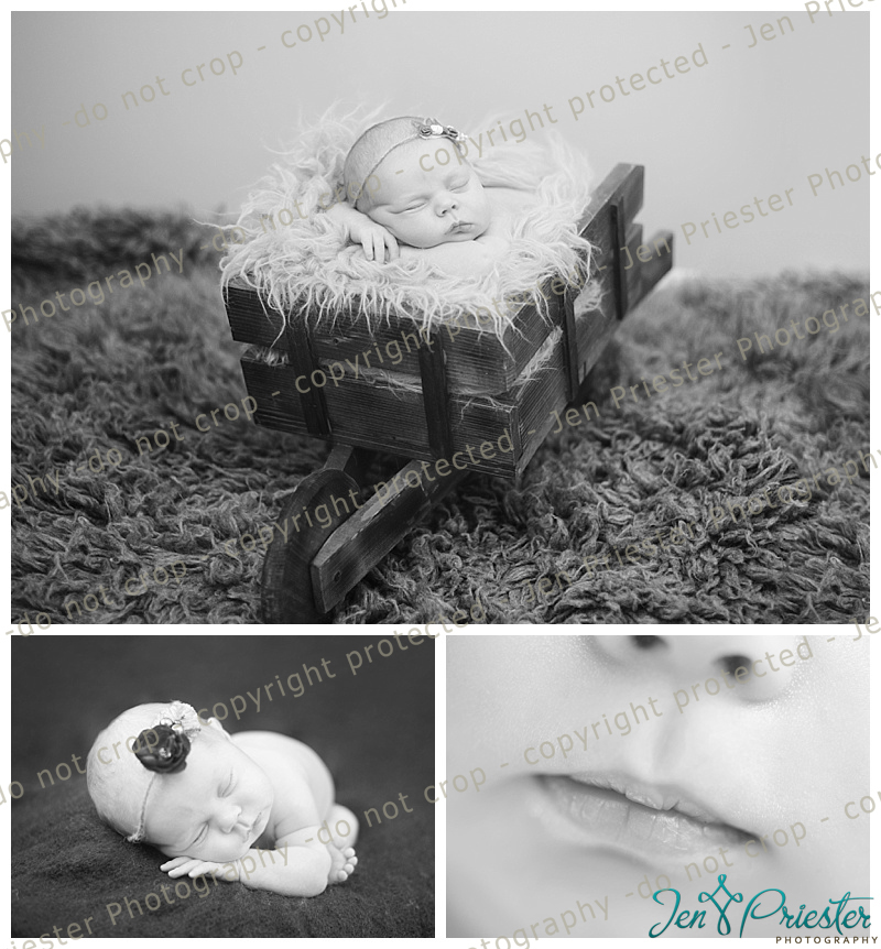 Michigan Newborn Baby Pictures