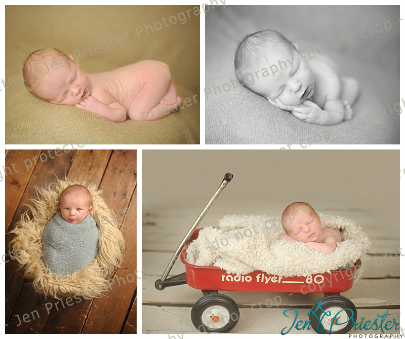 Sterling Heights Michigan Newborn Photography