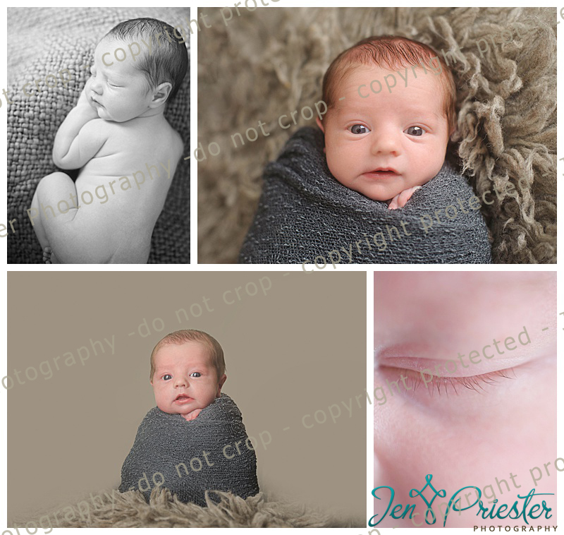 Grosse Pointe Woods Newborn Photographer MIchigan