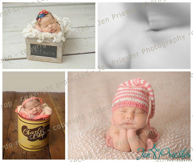 Waterford MI Newborn Photographer