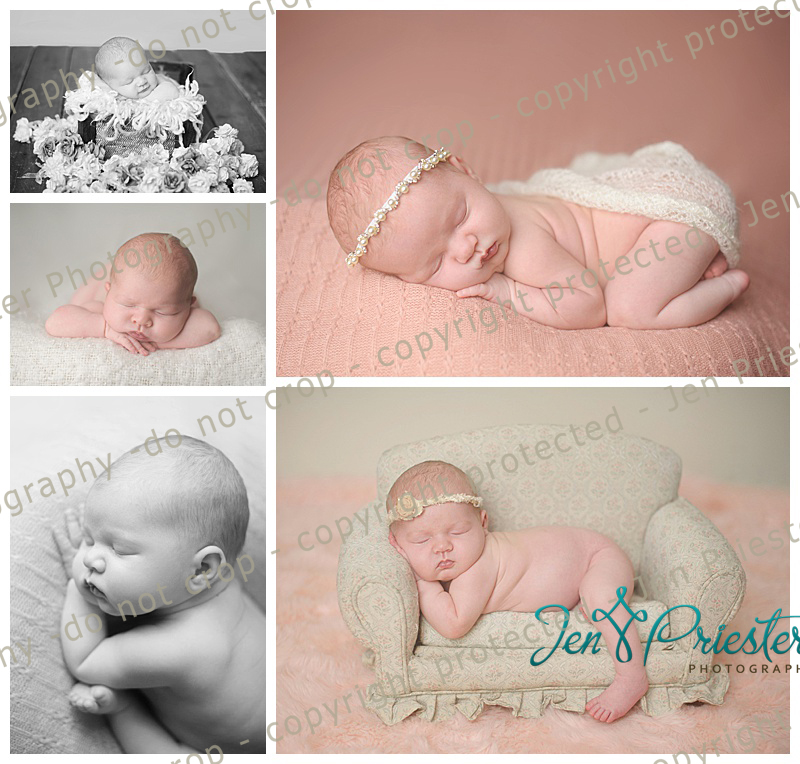 Royal Oak Michigan Newborn Photographer