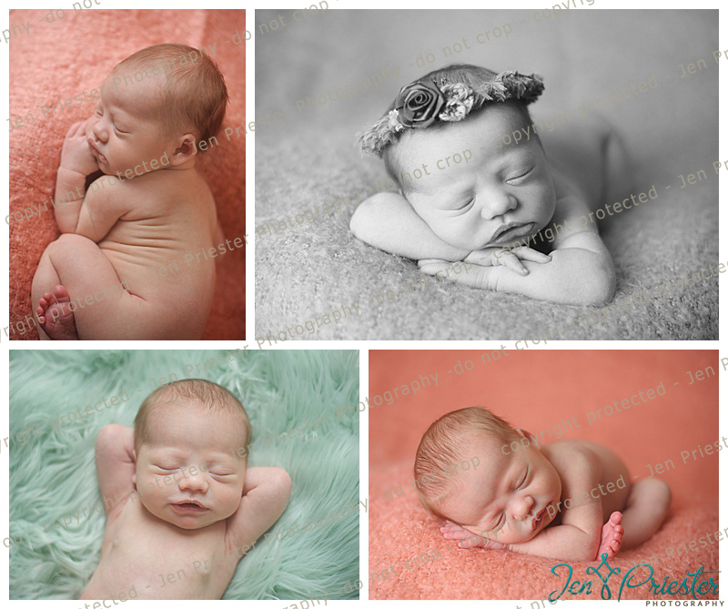 Dearborn Newborn Photographer