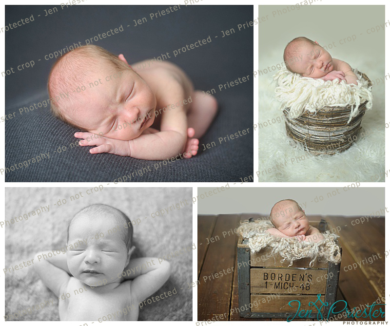 Harper Woods MI Newborn Photographer