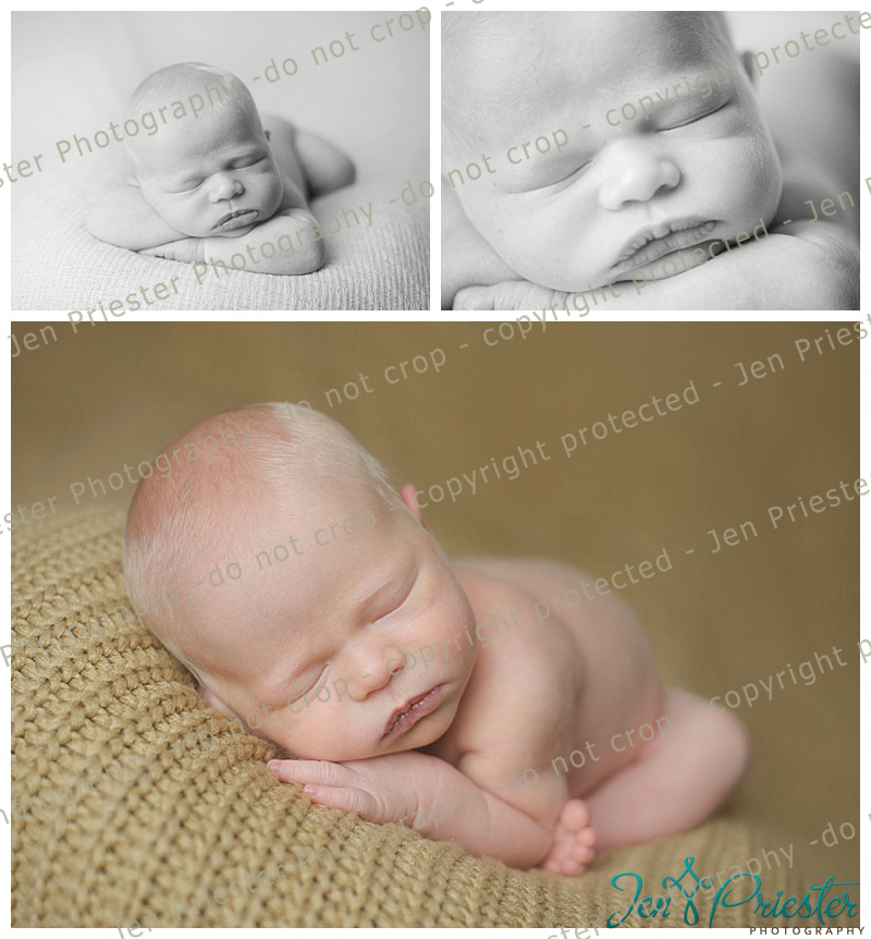 Oakland County Newborn Photography