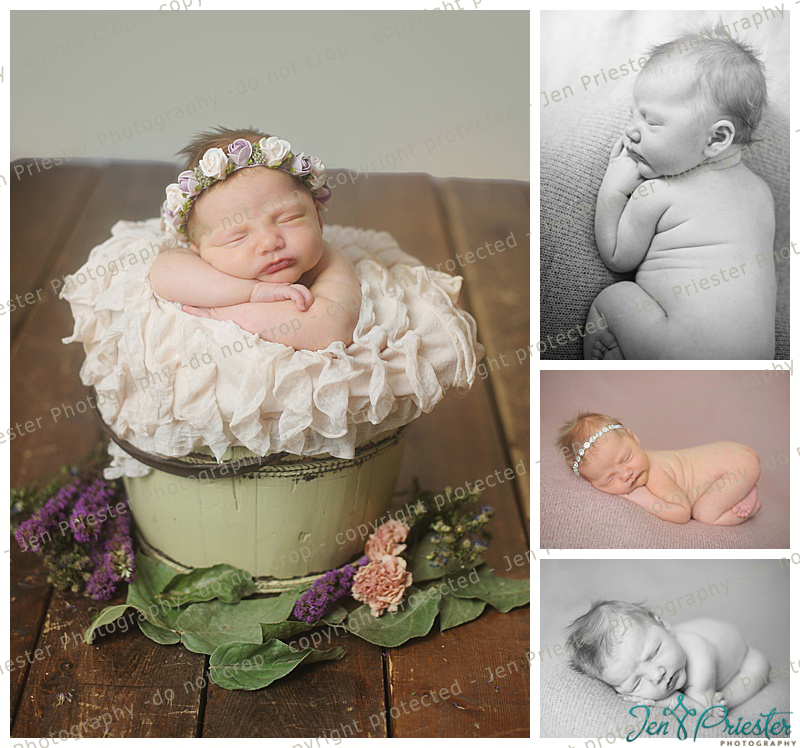 Michigan Newborn Baby Photos
