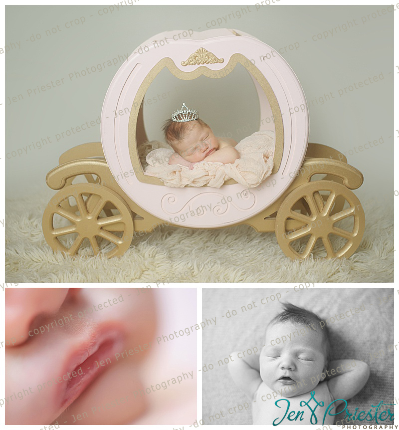 Michigan Newborn Baby Photos
