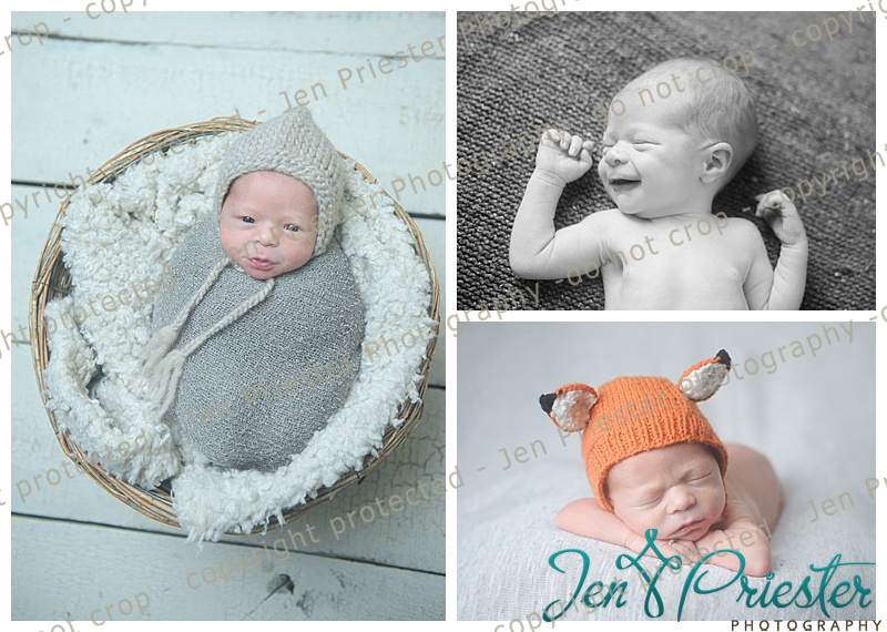 Madison Heights Newborn Photographer