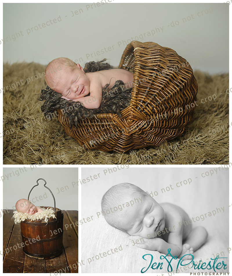 Madison Heights Michigan Newborn Photographer