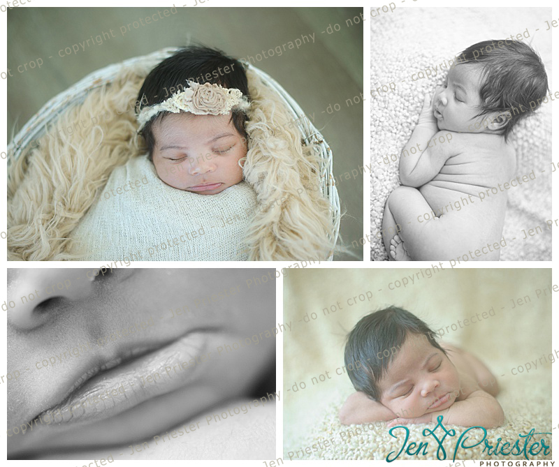 Sterling Heights MI Newborn Photographer Sterling Heights Newborn Photographer