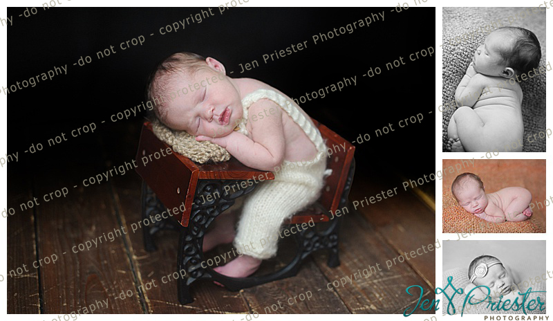 Southfield Michigan Newborn Photographer