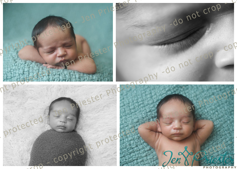 Novi Mi Newborn Photography
